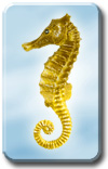 Epson R220 Seahorse compatible Ink range